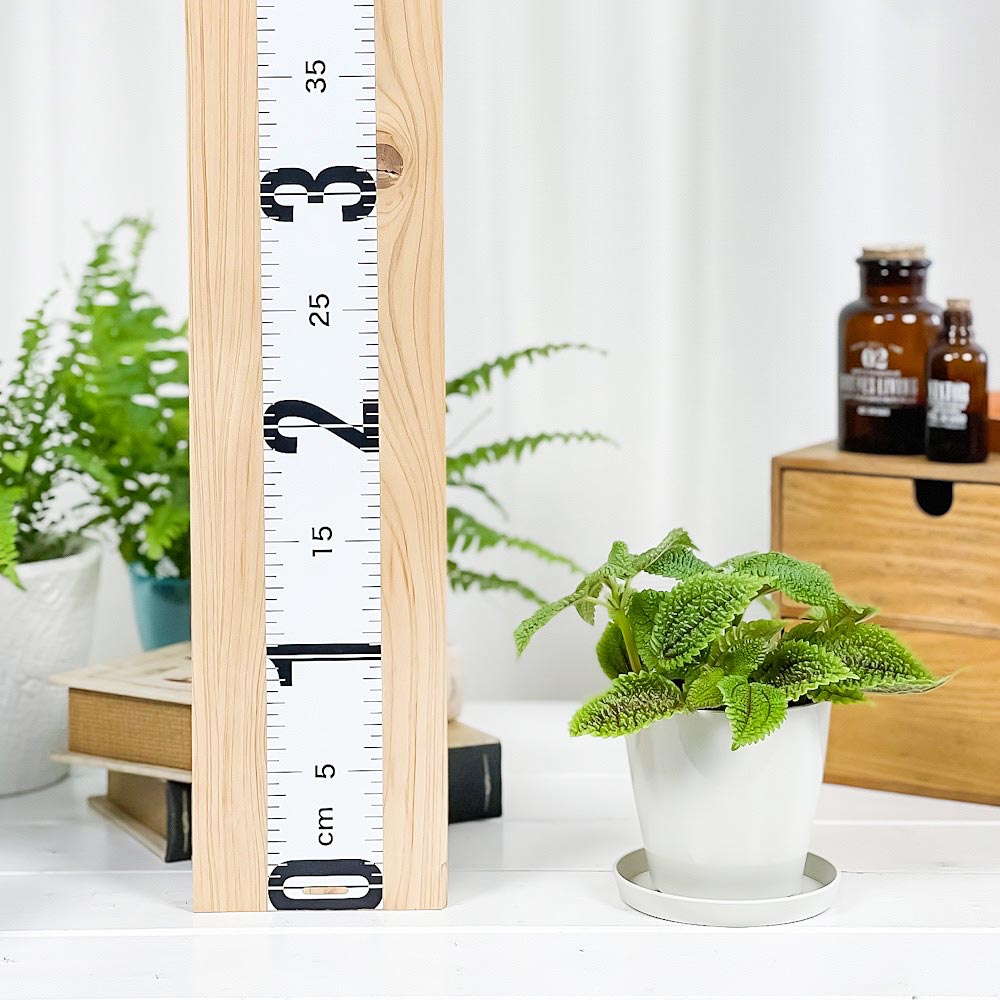 PLANCHU 観葉植物 ピレア ムーンバレー 3.5号鉢 受け皿付き 育て方説明書付き Pilea mollis ‘Moon Valley’