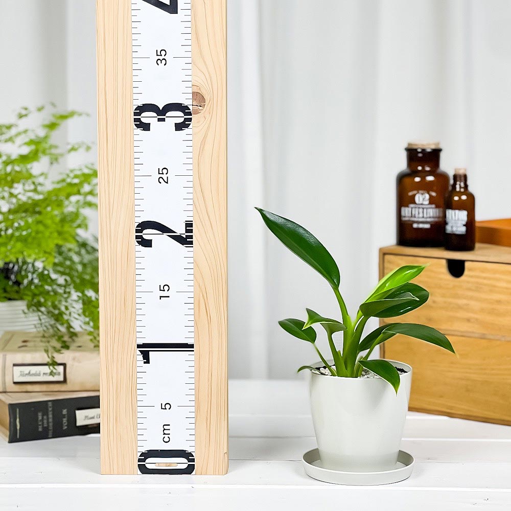 PLANCHU 観葉植物 フィロデンドロン グリーンプリンセス 3.5号鉢 受け皿付き 育て方説明書付き Philodendron ‘Green Princess’ アロイド