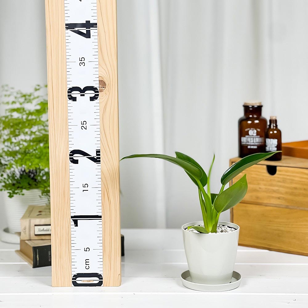 PLANCHU 観葉植物 フィロデンドロン ミリオンズ 3.5号鉢 受け皿付き 育て方説明書付き Philodendron ‘Millions’ アロイド