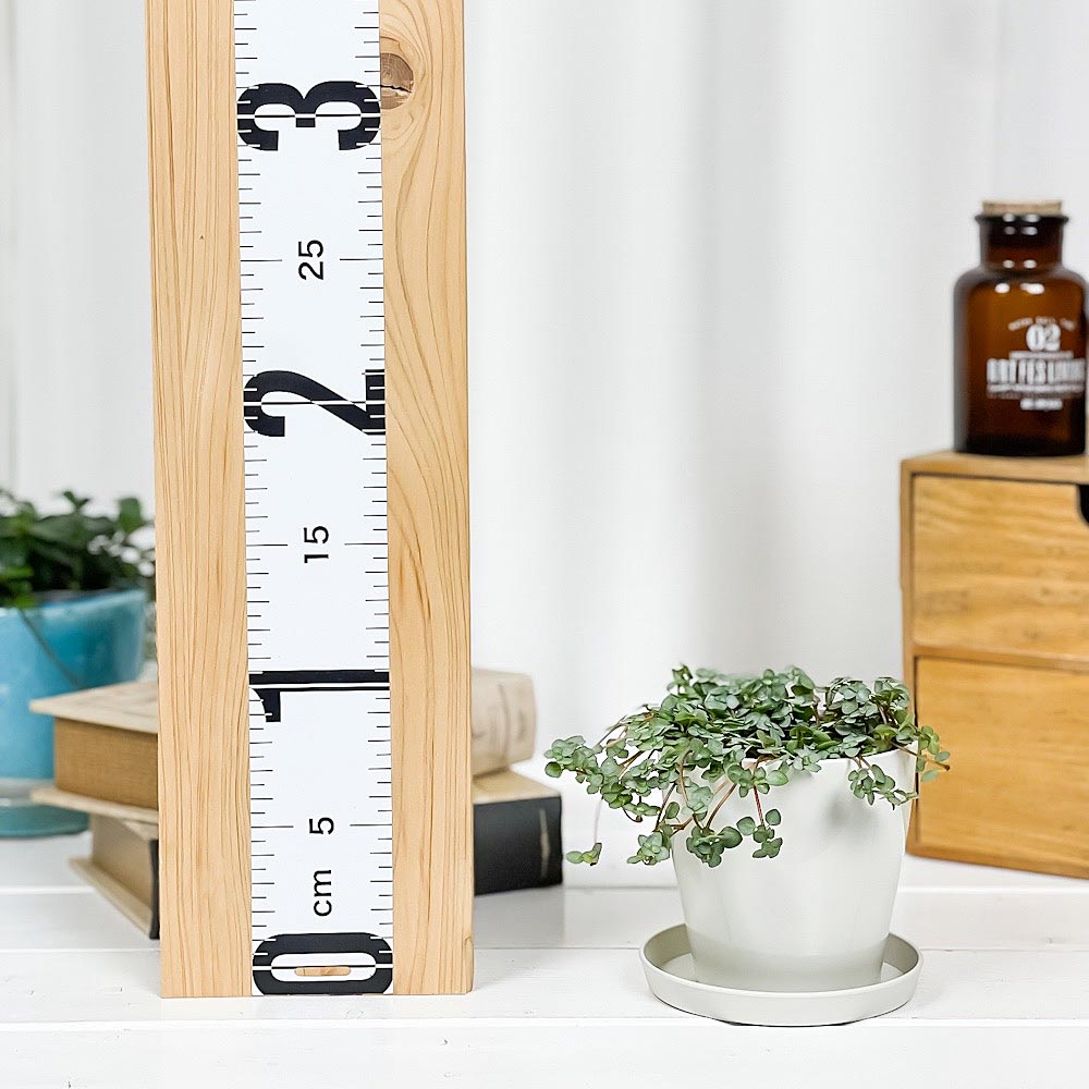 PLANCHU 観葉植物 ピレア グラウカ 3.5号鉢 受け皿付き 育て方説明書付き Pilea glauca