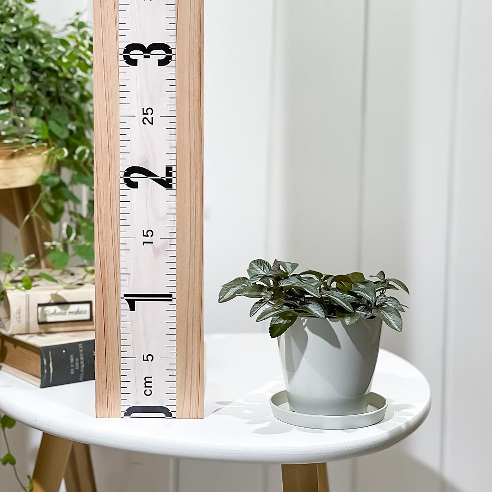 PLANCHU 観葉植物 ピレア ミレニアム 3.5号鉢 受け皿付き 育て方説明書付き Pilea ‘Millennium’