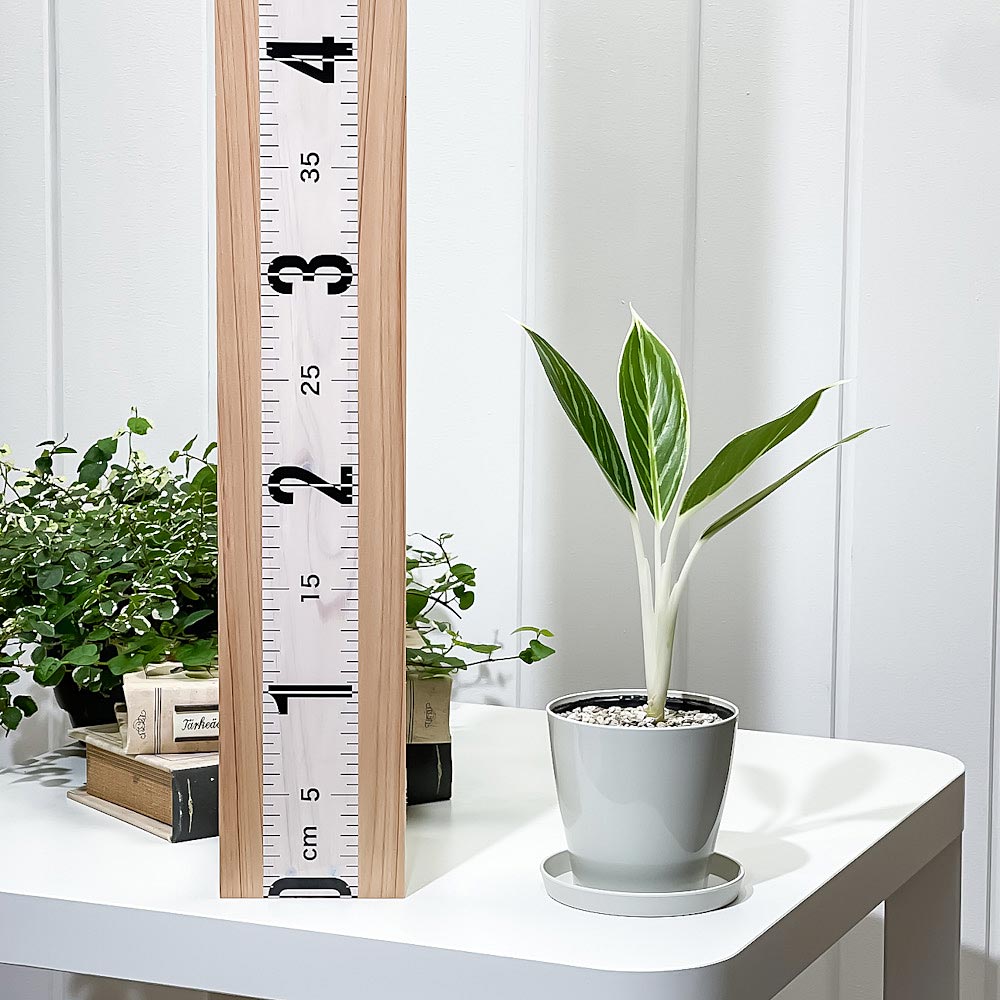 PLANCHU 観葉植物 アグラオネマ スノーホワイト 3.5号鉢 受け皿付き 育て方説明書付き Aglaonema commutatum ‘Snow White’ 幸せを招くタイの宝石 アロイド