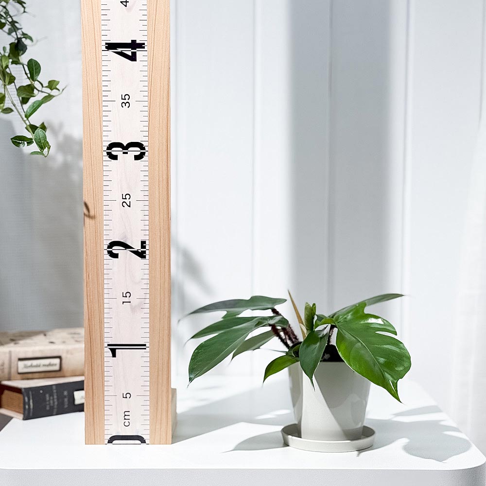 PLANCHU 観葉植物 フィロデンドロン スクアミフェルム 3.5号鉢 受け皿付き 育て方説明書付き Philodendron squamiferum アロイド