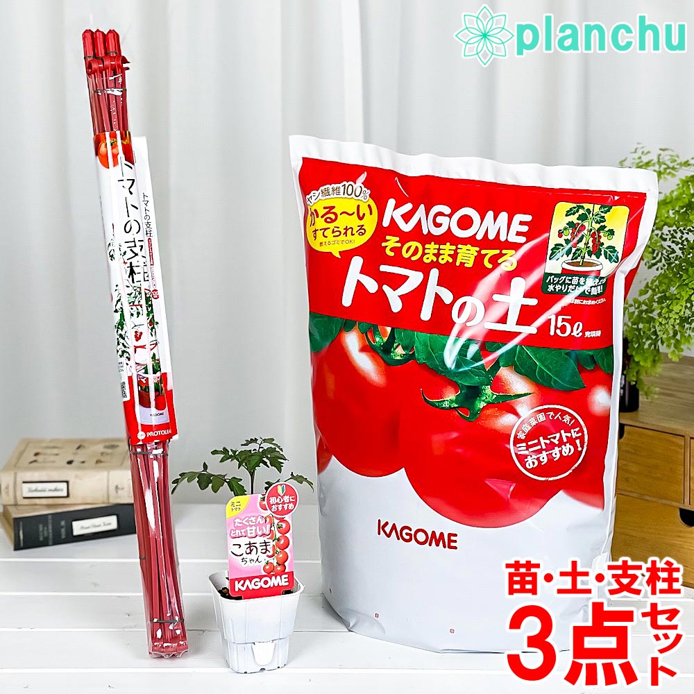 PLANCHU ベランダ菜園 野菜栽培セット カゴメ ミニトマト苗 こあまちゃん (苗 培養土 支柱 3点セット) KAGOME トマト栽培セット 家庭菜園 簡単