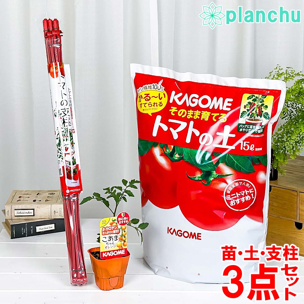 PLANCHU ベランダ菜園 野菜栽培セット カゴメ ミニトマト苗 こあまちゃんオレンジ (苗 培養土 支柱 3点セット) KAGOME トマト栽培セット 家庭菜園 簡単