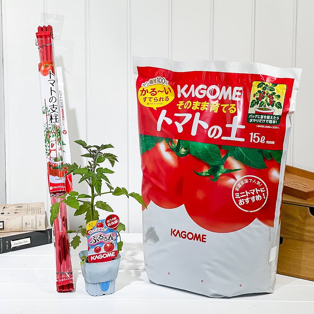 PLANCHU ベランダ菜園 野菜栽培セット カゴメ ミニトマト苗 ぷるるん (苗 培養土 支柱 3点セット) KAGOME トマト栽培セット 家庭菜園 簡単