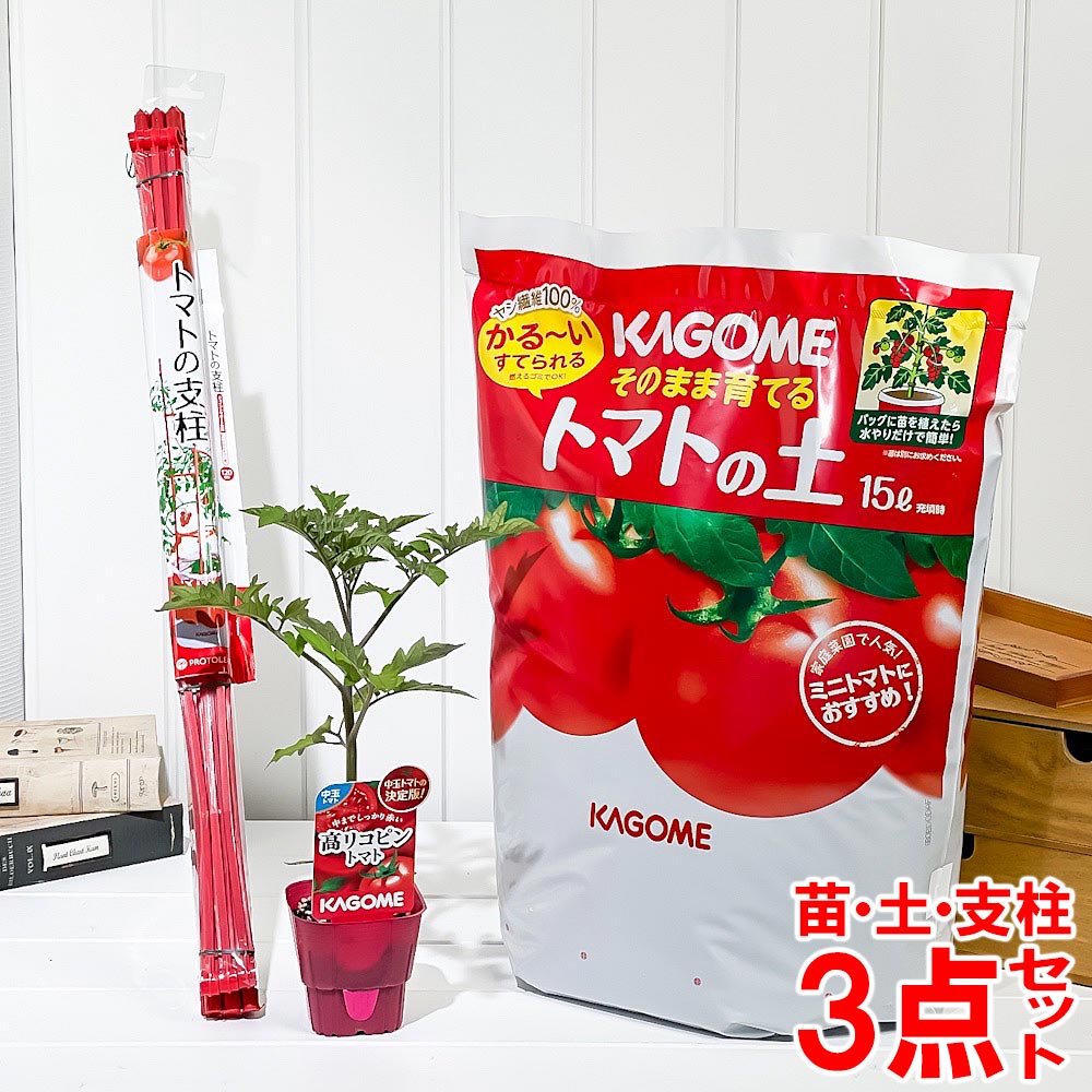 PLANCHU ベランダ菜園 野菜栽培セット カゴメ 中玉トマト苗 高リコピン(苗 培養土 支柱 3点セット) KAGOME トマト栽培セット 家庭菜園 簡単