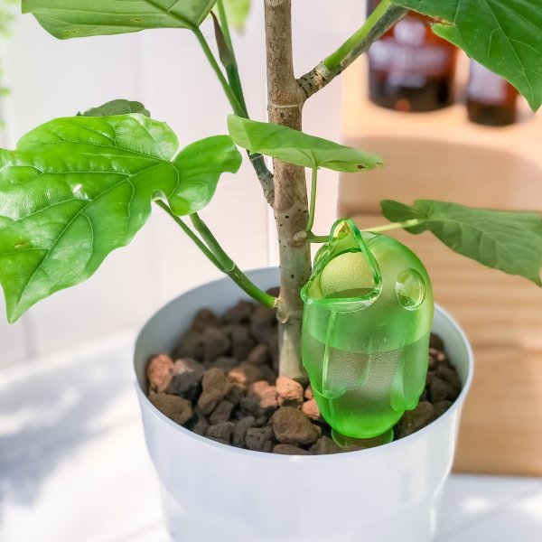 シューリッヒ バーディ おしゃれ 自動給水器 scheurich bordy