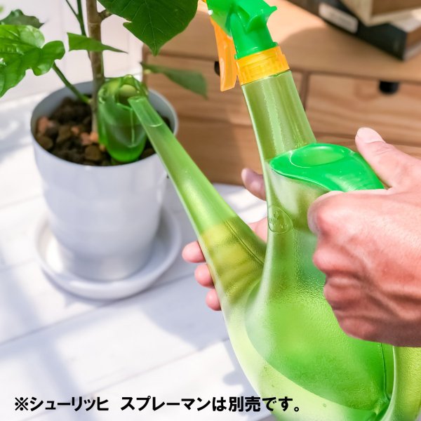 シューリッヒ バーディ おしゃれ 自動給水器 scheurich bordy