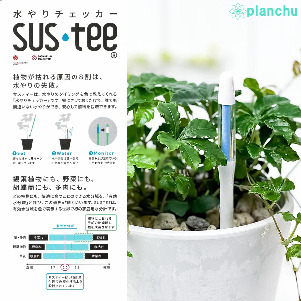 メール便発送 水やりチェッカー 水分計 サスティー Sサイズ 1本 2~3号鉢用 サスティ キャビノチェ JAN4562403100115