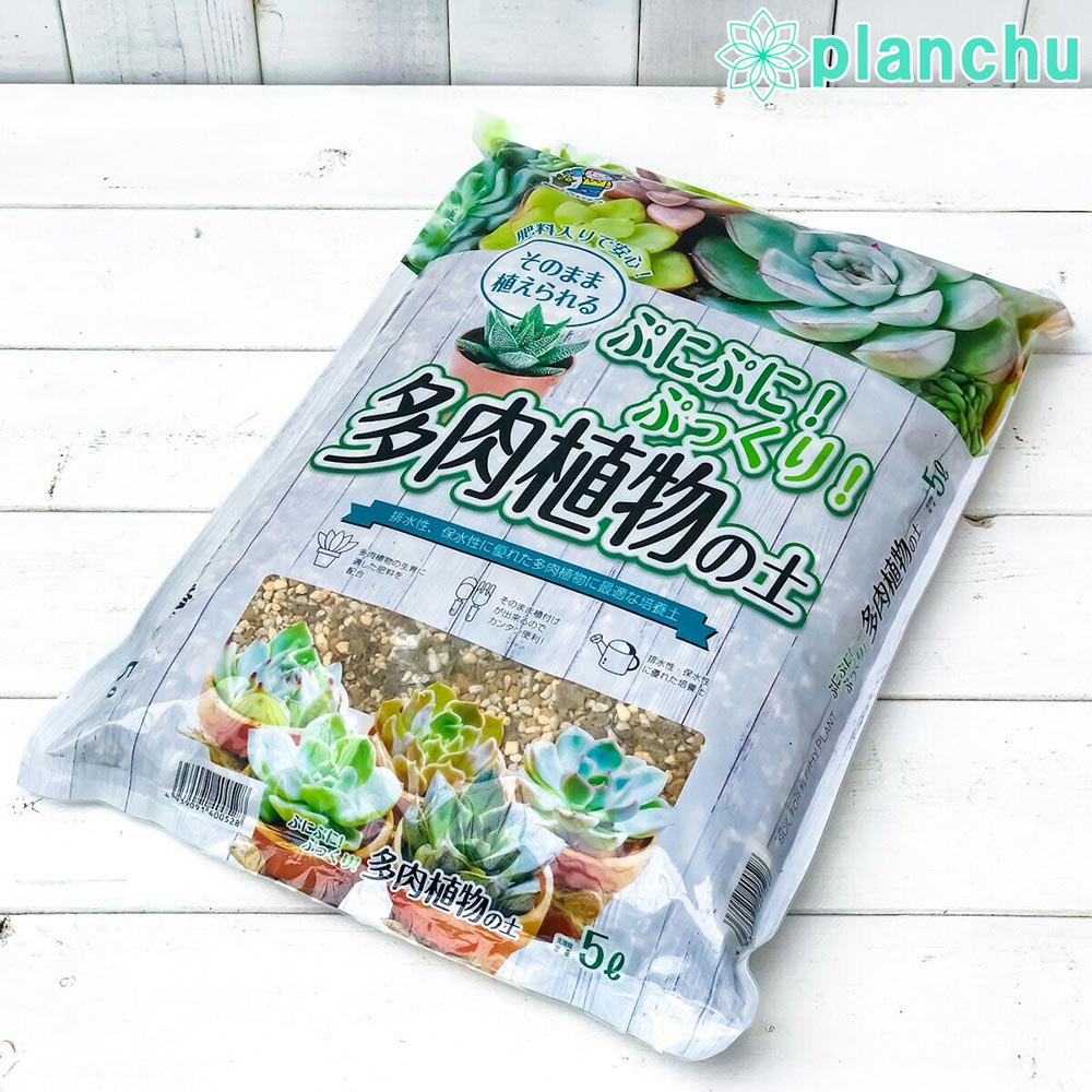 あかぎ園芸 ぷにぷに！ぷっくり！多肉植物の土 5L ハオルチア セダム