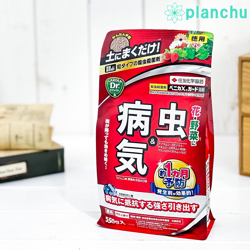 住友化学園芸 殺虫殺菌剤 ベニカXガード粒剤 550g JAN4975292603924