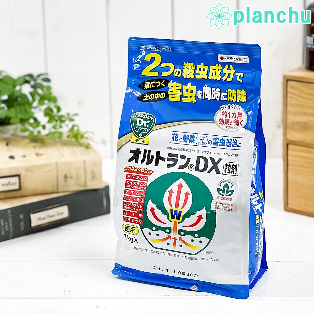 住友化学園芸 殺虫剤 オルトランDX粒剤 1kg JAN4975292601630