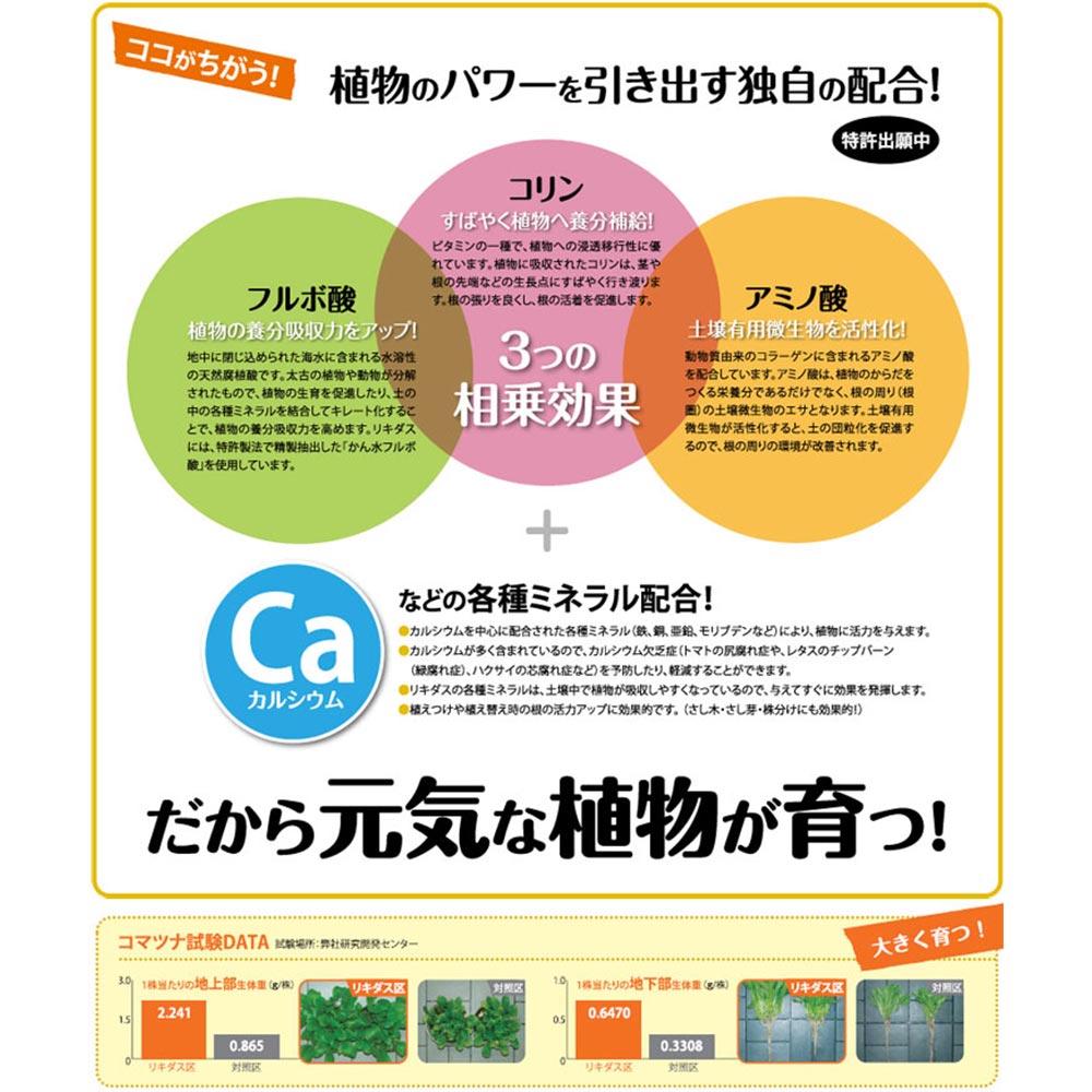 ハイポネックス リキダス 450mL 植物用活力液 JAN4977517162506