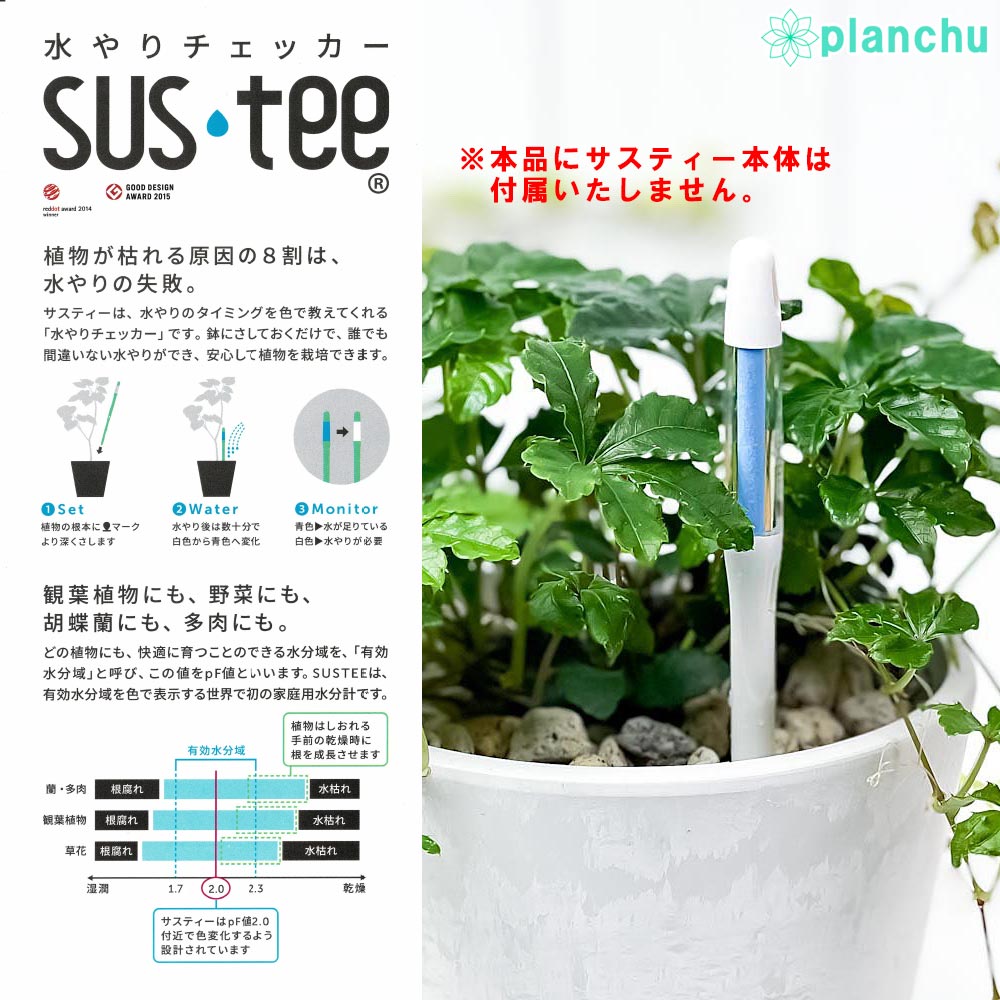 メール便発送 水やりチェッカー 水分計 サスティー専用交換リフィル S M L 3点セット サスティ キャビノチェ
