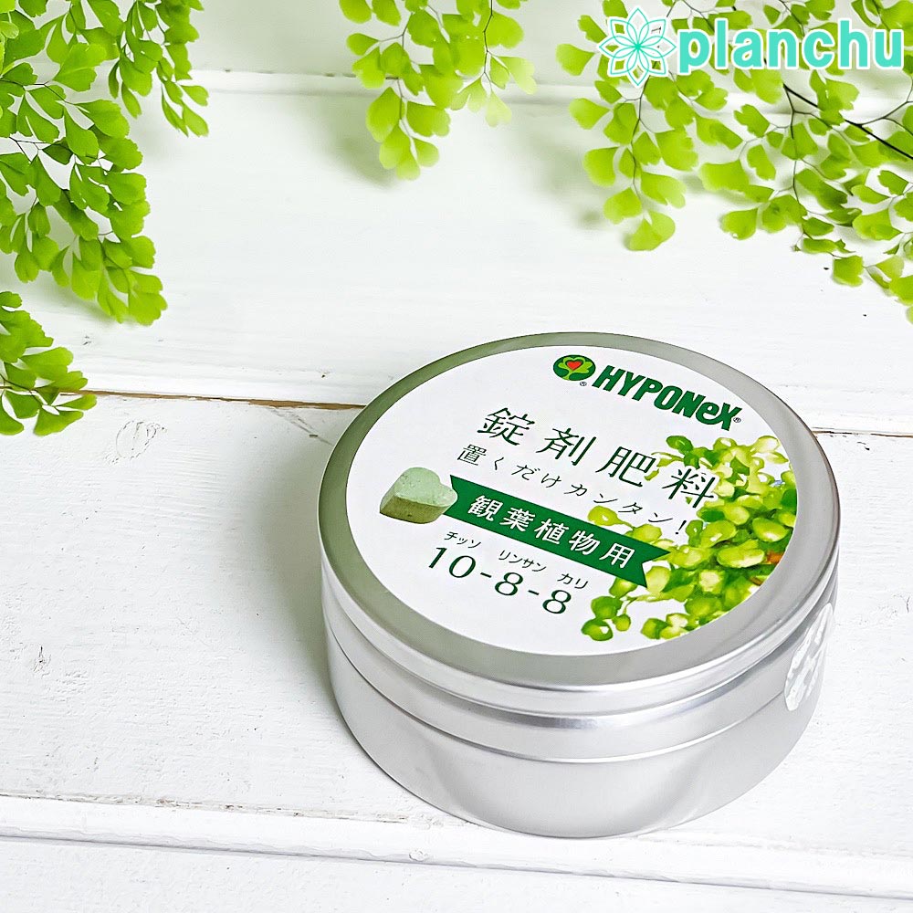 ハイポネックス 錠剤肥料 観葉植物用 置くだけカンタン! ハート型 固形肥料 プロミック JAN4977517148029