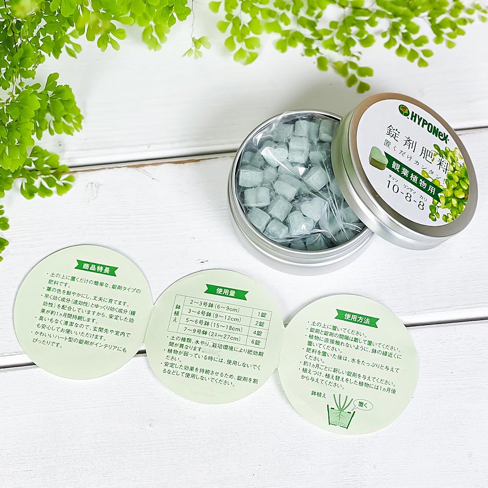 ハイポネックス 錠剤肥料 観葉植物用 置くだけカンタン! ハート型 固形肥料 プロミック JAN4977517148029