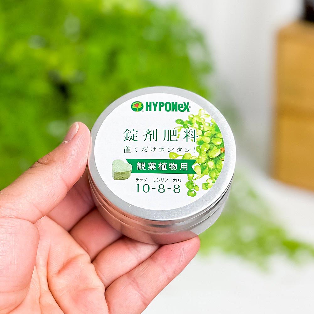 ハイポネックス 錠剤肥料 観葉植物用 置くだけカンタン! ハート型 固形肥料 プロミック JAN4977517148029