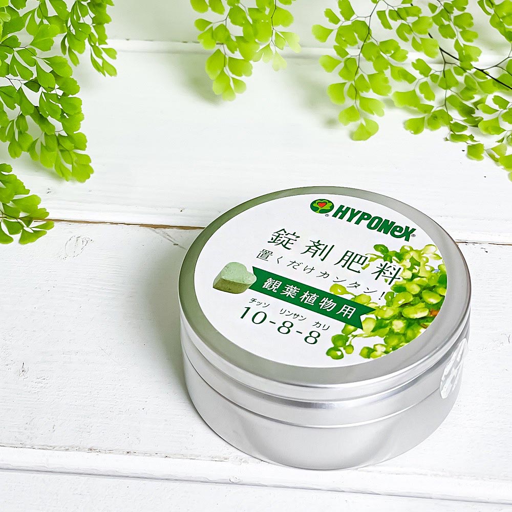 ハイポネックス 錠剤肥料 観葉植物用 置くだけカンタン! ハート型 固形肥料 プロミック JAN4977517148029