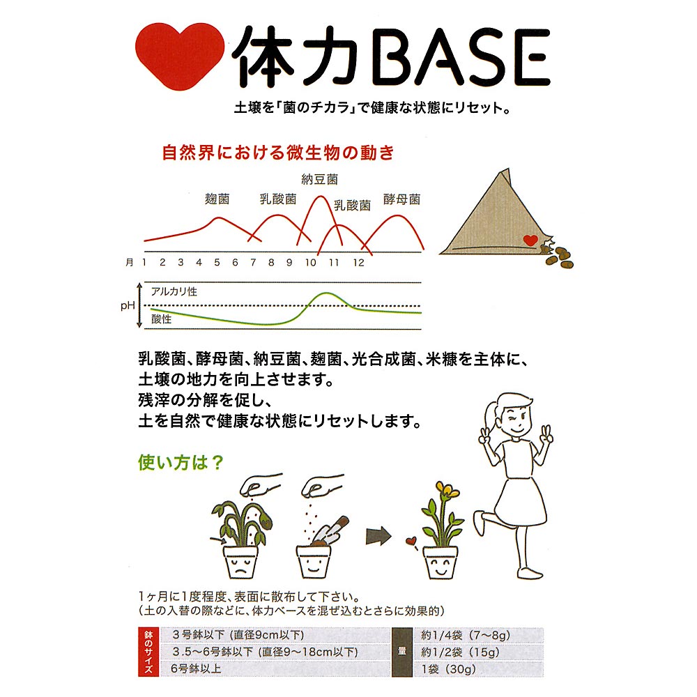 キャビノチェ 体力ベース テトラパック 30g 土壌改良材 体力BASE JAN4562403100627