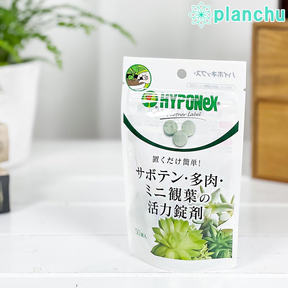 ハイポネックス 置くだけ簡単! サボテン多肉観葉植物の活力錠剤 50錠入 JAN4977517148654
