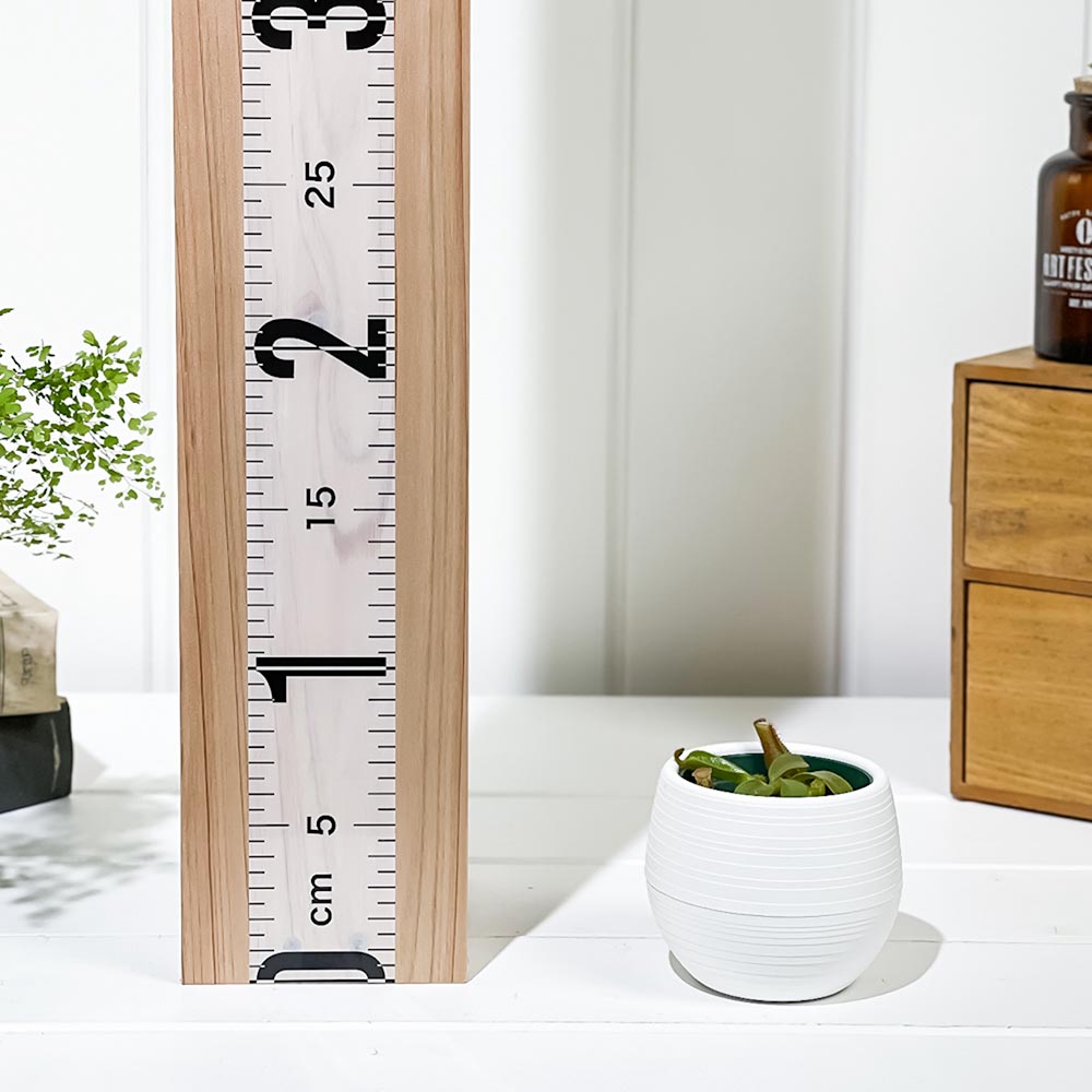 【人気ビーチ】食虫植物 ネペンテス ビーチ・ハイランド 充実株 ウツボカズラ 人気ビーチ】食虫植物 ネペンテス ビーチ・ハイランド 充実株 ウツボカズラ