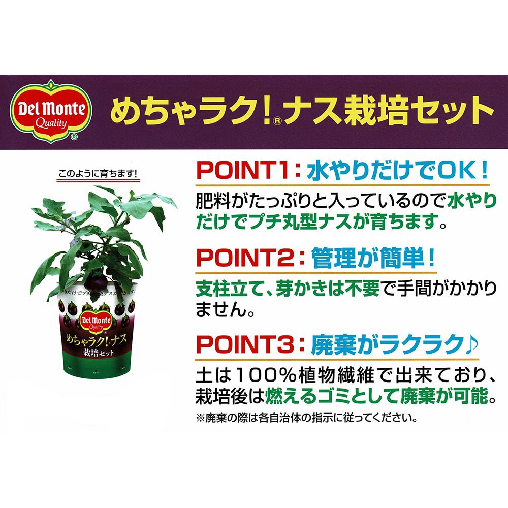 PLANCHU デルモンテ めちゃラク！ナス栽培セット 野菜 野菜苗 ナス ナス苗 予防接種苗 植え込み完成品