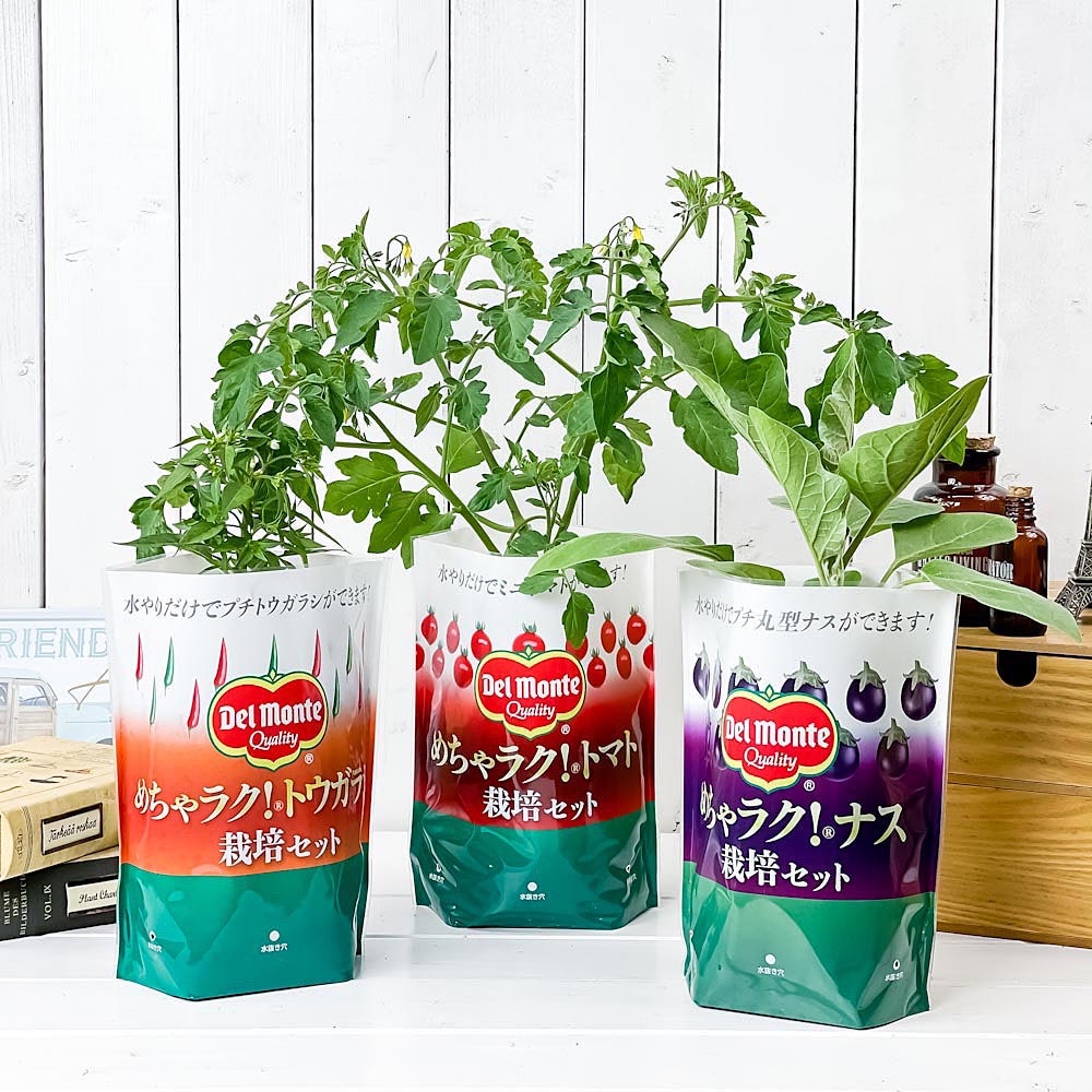 PLANCHU デルモンテ めちゃラク！野菜栽培セット トマト ナス トウガラシ 3種セット 野菜 野菜苗 予防接種苗 植え込み完成品