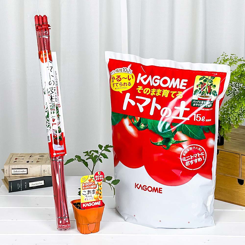 PLANCHU ベランダ菜園 野菜栽培セット カゴメ ミニトマト苗 こあま