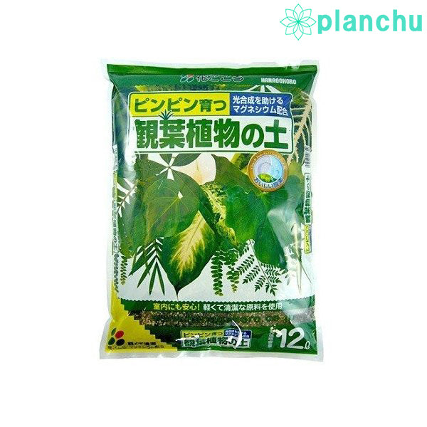 花ごころ 観葉植物の土 12L JAN4977445108300