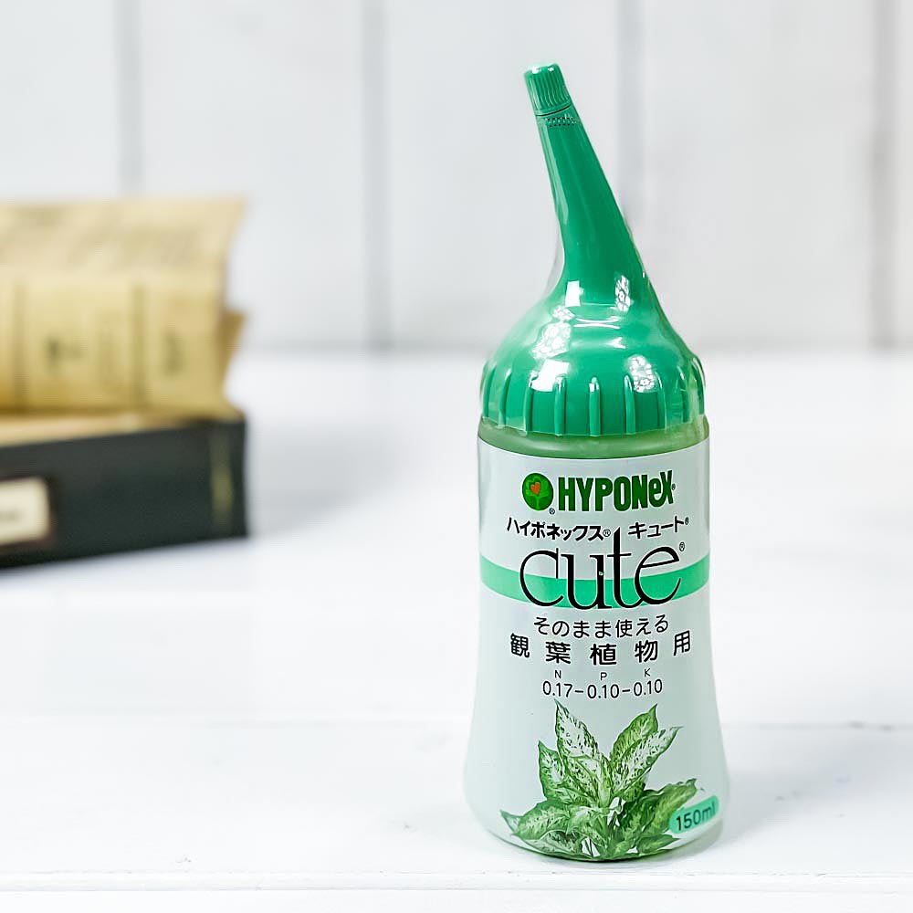 ハイポネックス キュート 観葉植物用 150mL 肥料 JAN4977517164135