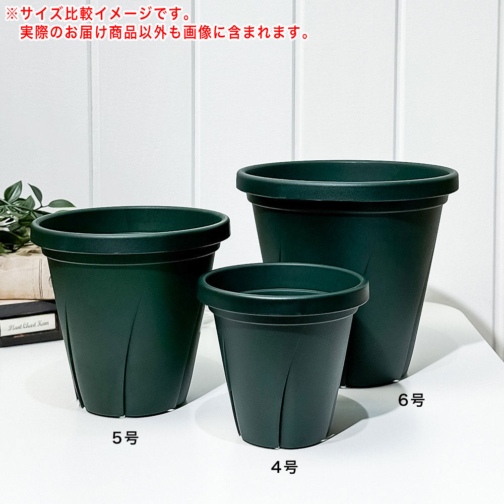 大和プラスチック 根はり鉢 5号 ダークグリーン 直径14.5cm×高さ13.5cm 容量1.0L JAN4903266726362