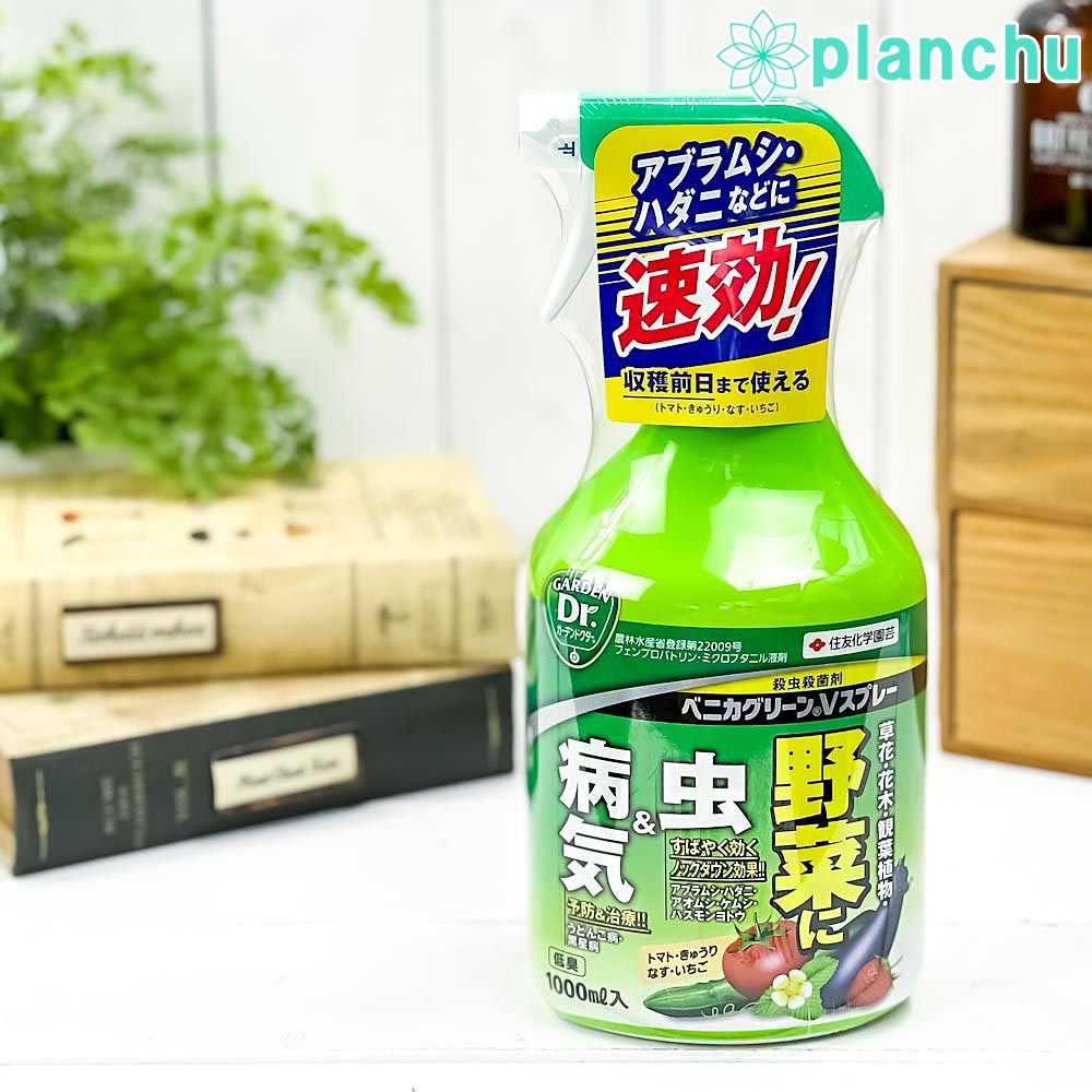 住友化学園芸 殺虫殺菌剤 ベニカグリーンVスプレー 1000mL JAN4975292602491