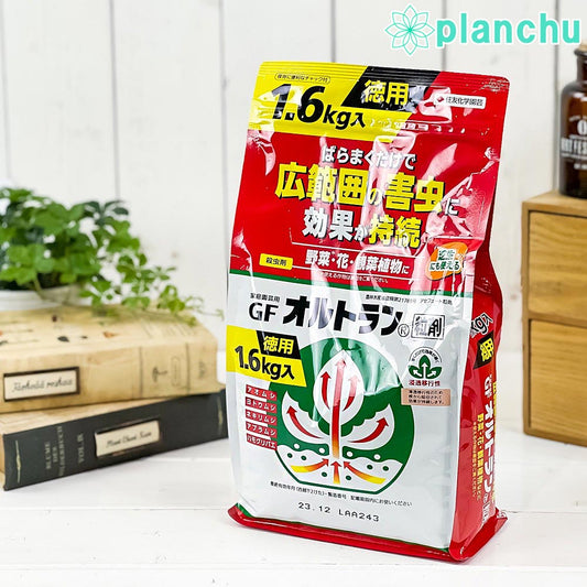 住友化学園芸 殺虫剤 家庭園芸用GFオルトラン粒剤 徳用 1.6kg JAN4975292601876