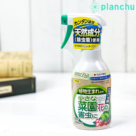住友化学園芸 殺虫剤 パイベニカVスプレー 250mL JAN4975292603016