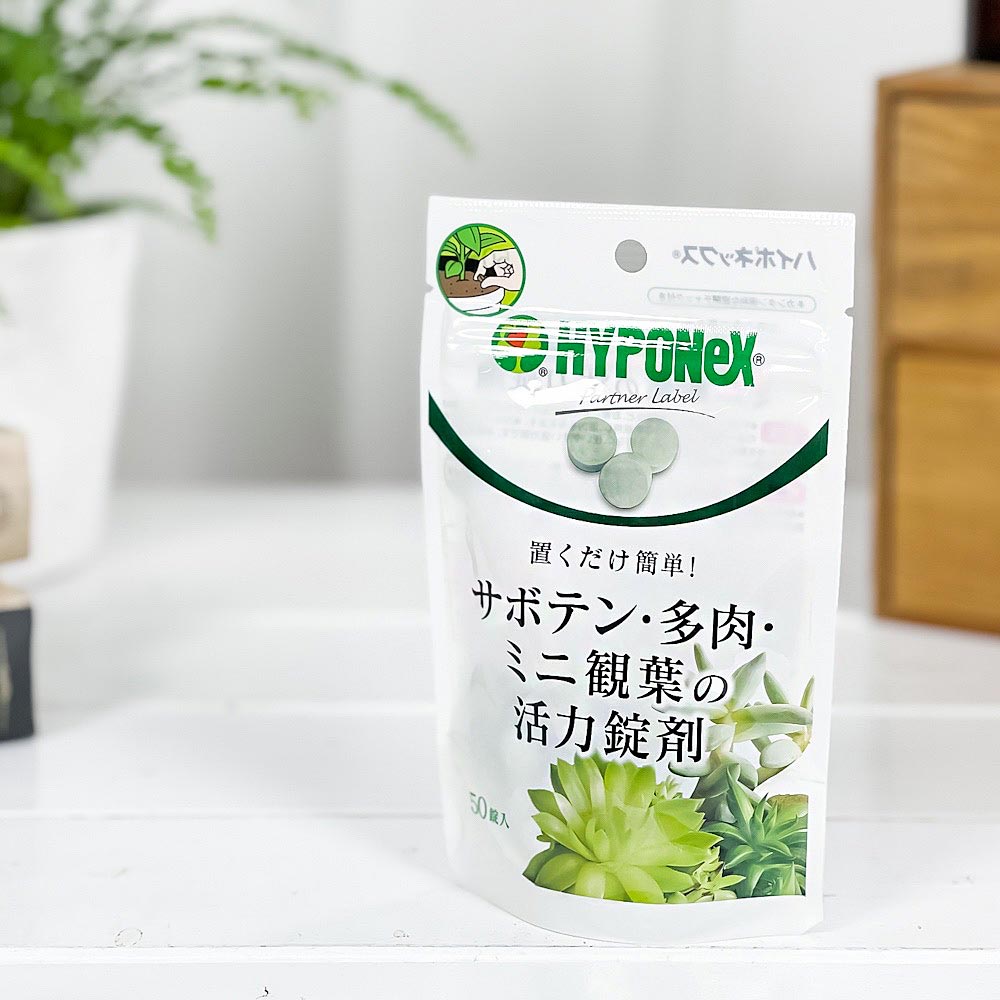 ハイポネックス 置くだけ簡単！ サボテン多肉観葉植物の活力錠剤 50錠入 JAN4977517148654